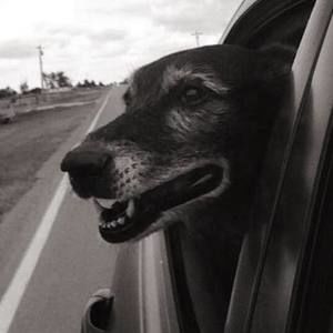 Meet your Posher, Rick